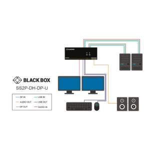 Black Box SS2P-DH-DP-U Secure 2-Port, Dual-Head DisplayPort KVM Switch